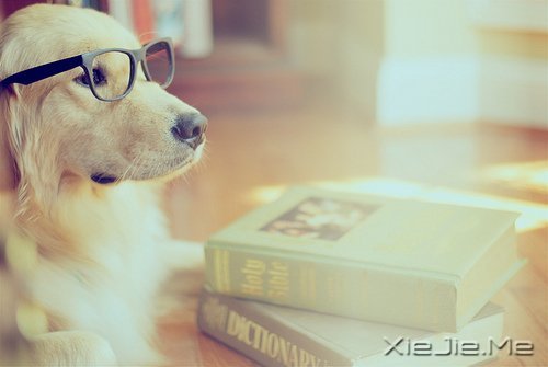 �������ǳǳЦ�����ᰮ (6)