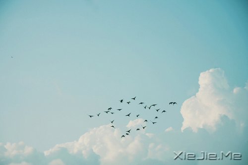 �����ĸ߹�Ӧ�������ڹ�ȥ���Լ� (7)