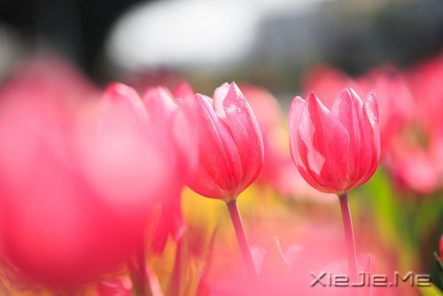 ������ʵ���Լ���������õ� (6)