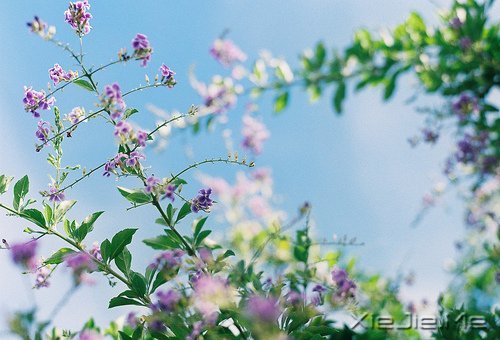 ���۷���ʲô�����ƴ��Լ� (10)