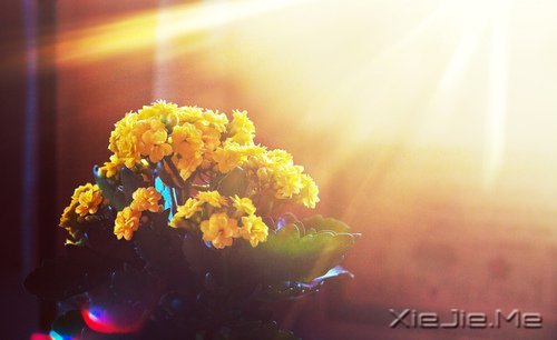 我不怕长大,而是怕你们老去 (6)