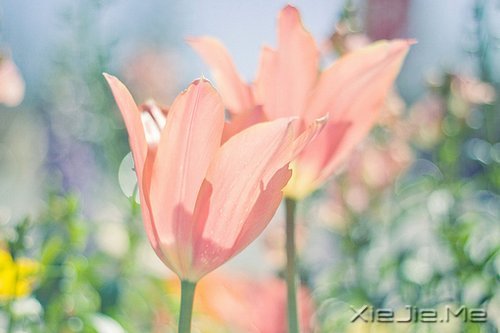 ˽���ɣ�����һ���� (5)