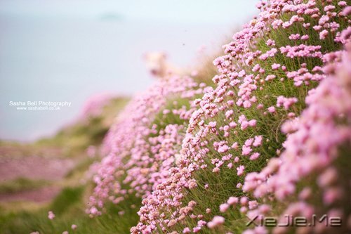 ������ֻ��Ҫһ��������΢Ц (1)