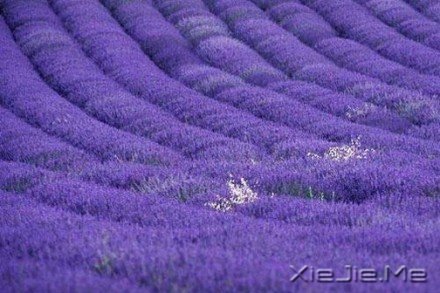 要替别人着想,但为自己而活 (1)