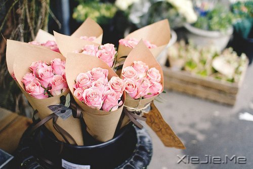 人生有多残酷,你就该有多坚强 (9)