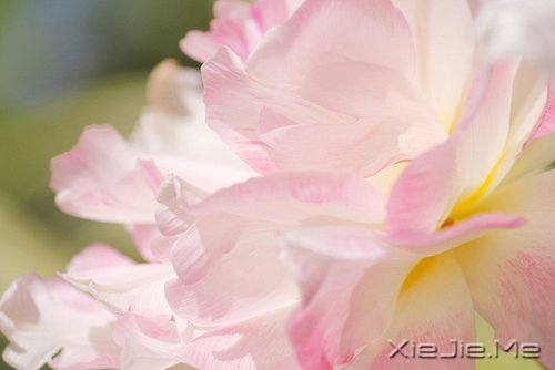 风雨人生,给自己一个微笑 (9)