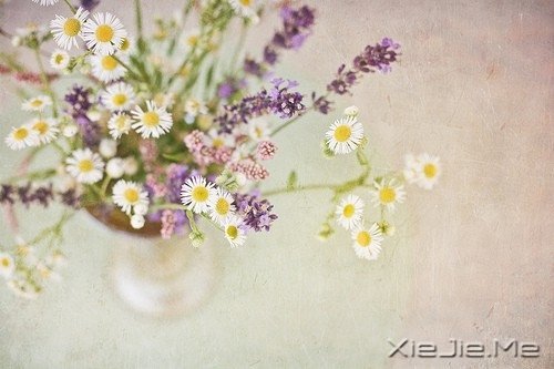 ���ƽ�ͣ�����������װ���������Ҹ� (2)