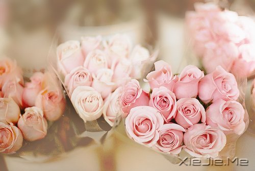 ������û��������Ȼ��ֻ���ĸ���Ը (5)