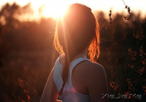 ����õ��껪���Ҫ�����������Լ� (4)