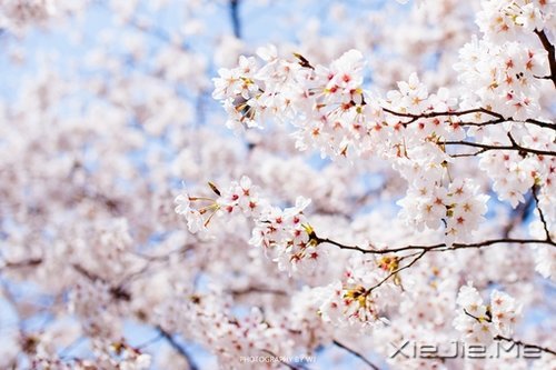 ���ܳɹ���������������� (6)