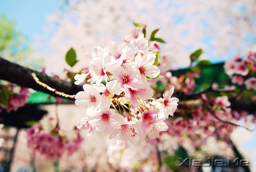 �簲���ǳǳ���������� (3)