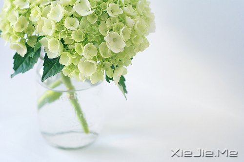 Ը����������ʱ�⣬���������õ��� (6)