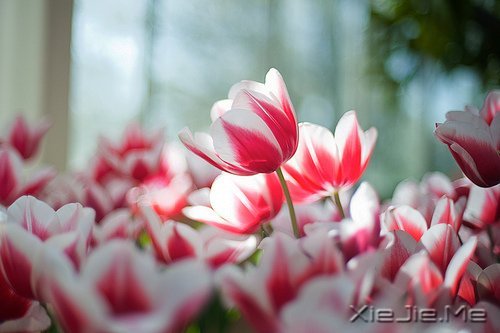 Ը����������ʱ�⣬���������õ��� (8)