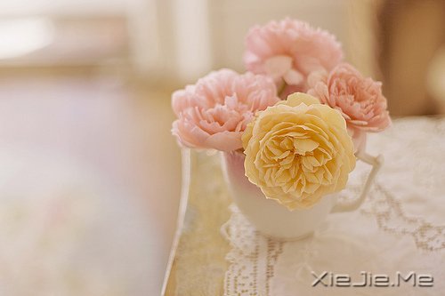 ��Ҫ��Ц���˵Ị̇���ֻ����û�о��������� (4)