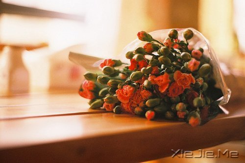 ���������;�У������Լ� (11)