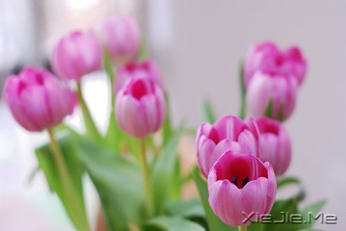 �簲�����һ�����ɣ�ȥ�������� (2)