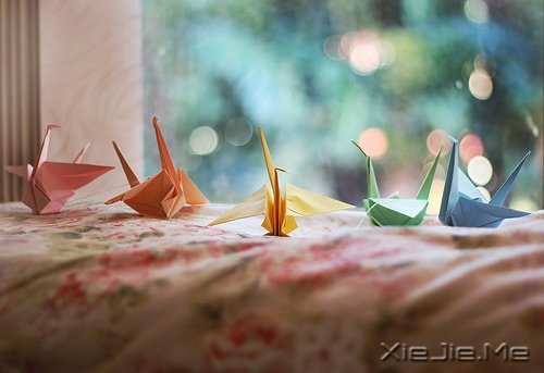 �簲�����ο���˵Ļ����վ���ο�����Լ� (10)