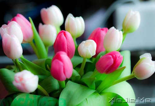 �簲������Լ����������ǣ������Ǳ��������еĿ��� (6)