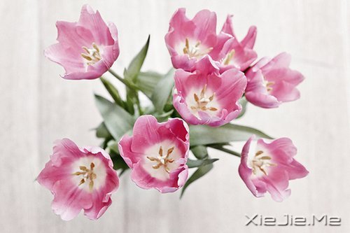 ��������˲������ں�ҹ���������û�й� (2)