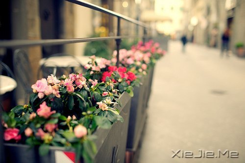 �簲�����ȥ�ľ͹�ȥ�ˣ�������Ȼ���� (1)