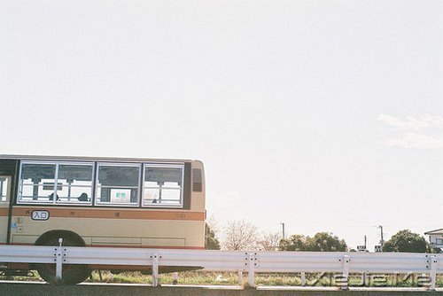 早安心语:生活中最大的幸福是坚信有人爱着我们 (4)