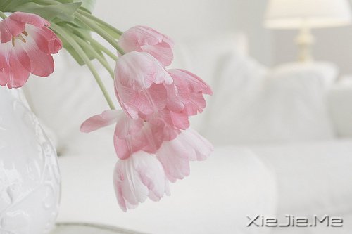 �簲�������ʱҪ������ʧ��ʱҪ���� (10)