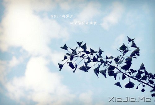 �Ҹ����Լ��ģ���Զ��Ҫ�ñ����������� (7)