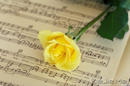 �簲�����Ȼһ�У��������� (4)