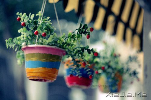 悲伤唤不回流逝的时光 (7)