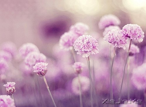 ���������ʰ���飬������· (9)