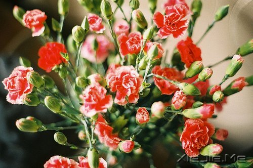 ����������ı���Ⱦ���ľ���Ȼ�� (7)