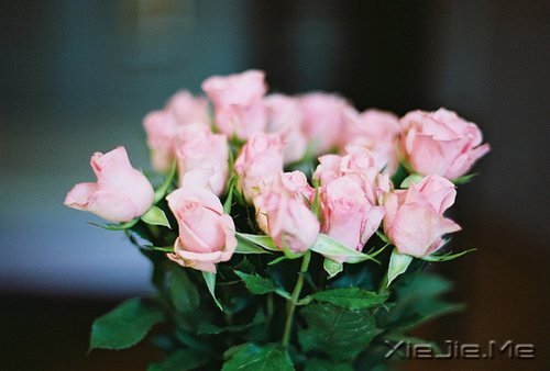 ����������������䣬�˲������� (7)