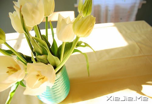 经过人生的荒凉,才能抵达内心的繁华 (5)