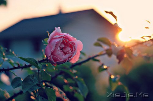 �簲�����Ҫ���������õĳ��� (7)