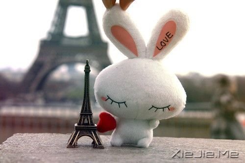 ��������˲������ں�ҹ���������û������ (5)