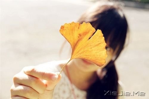 早安心语:只有全力以赴,梦想才能起飞 (8)