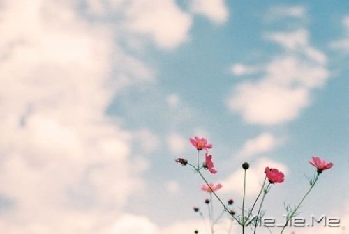 晚安心语:哭泣时没有肩膀依靠,那就仰起头 (3)