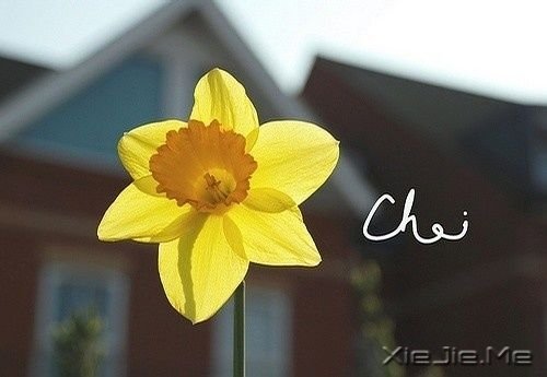 早安心语:有种信仰,叫做朝阳 (6)