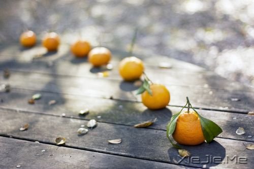 ������������������Լ����������������ഺ (2)