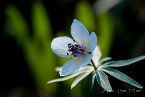 �簲�������������ߣ�Ҳ����һ�����������ͽ (10)