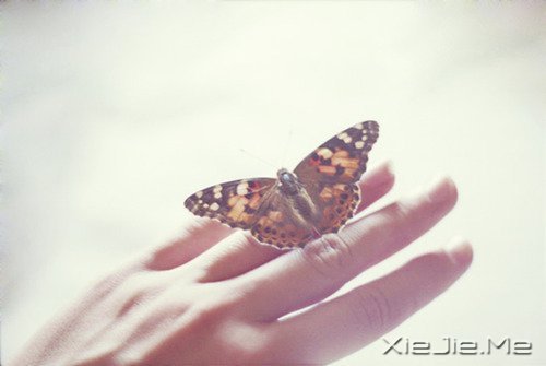 早安心语:幸福是一段旅程,而不是一个终点 (2)