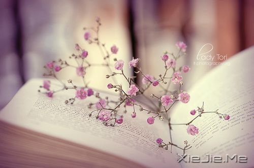 ������������˵�������ˣ�ȴ˵�������Լ����� (6)