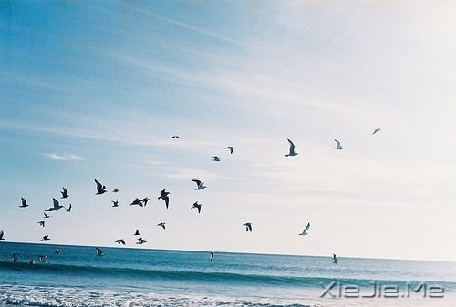 早安心语:人生有多残酷,你就该有多坚强 (1)