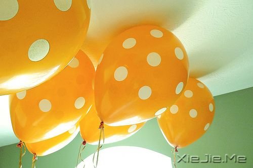 �����������������Ķ����������ͺ��� (8)