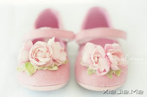 早安心语:总有许多事,需要一个人扛 (3)