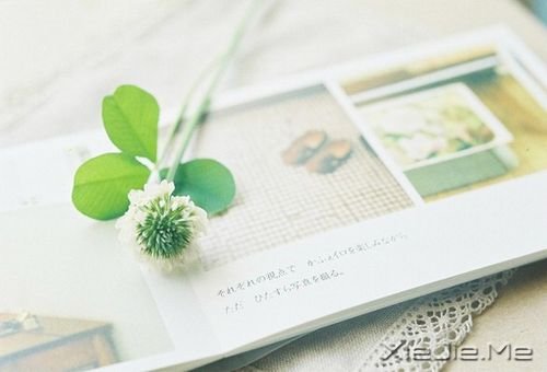 早安心语:总有许多事,需要一个人扛 (6)