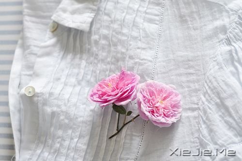 早安心语:爱自己是终身浪漫的开始 (7)