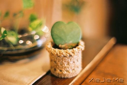 ������������Ϊ����õ����ˣ����ѵ��ټ� (17)