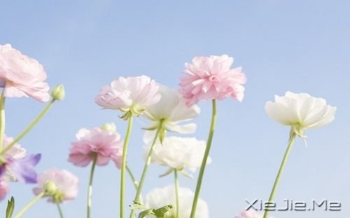 小人物,小欲望,小满足,才是大幸福 (12)