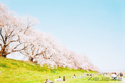 2014����12�������ı��Լ� (1)